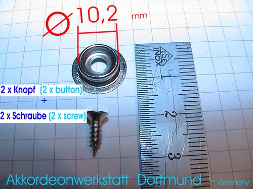 Knob for accor - 2x,